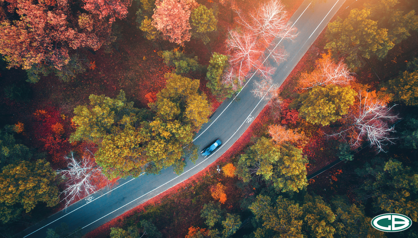 Fall Car Care Month: Why Autumn is the Perfect Time to Schedule Regular Vehicle Maintenance